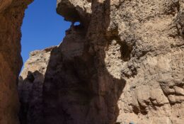 Namibia_April_2025 (37/79)